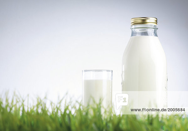 Flasche und Glas mit Milch stehen im Gras
