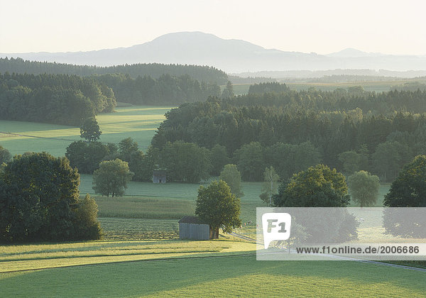 Voralpenlandschaft mit Wiesen und Wäldern  Oberbayern  Deutschland