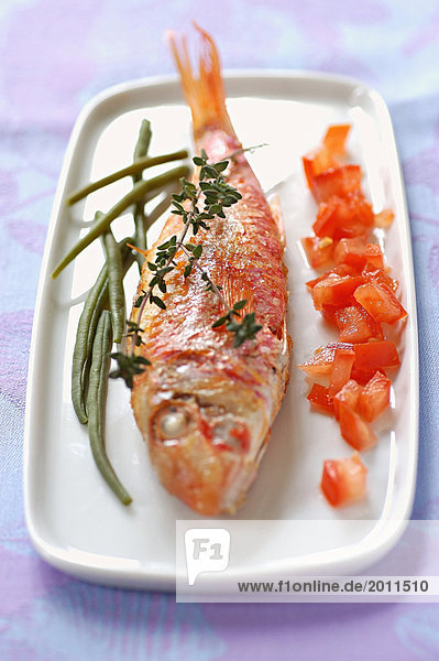 Thymian-gegrillte Meeräsche mit raw gewürfelte Tomaten und grüne Bohnen