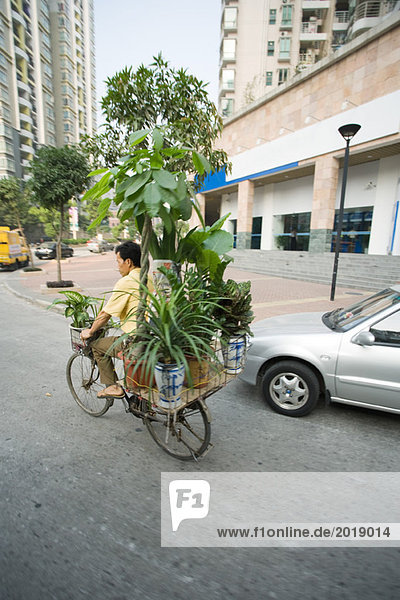 China  Provinz Guangdong  Guangzhou  Mann beim Transport von Zimmerpflanzen auf dem Fahrrad