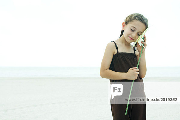 Mädchen am Strand stehend  Blüte bis zur Wange haltend  Augen geschlossen  lächelnd