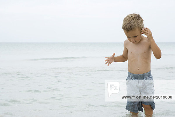 Kleiner Junge steht knietief im Meer  hält Muschel an Ohr  Vorderansicht