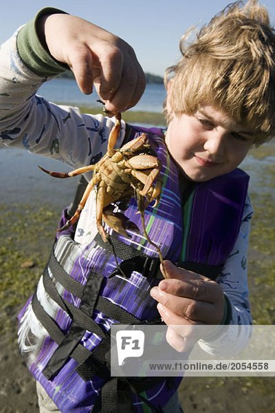 A young boy holding a crab on the beach