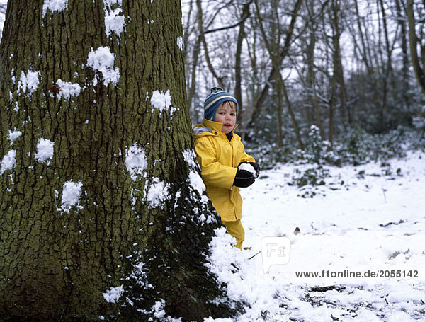 A young boy holding a snowball and standing behind a tree