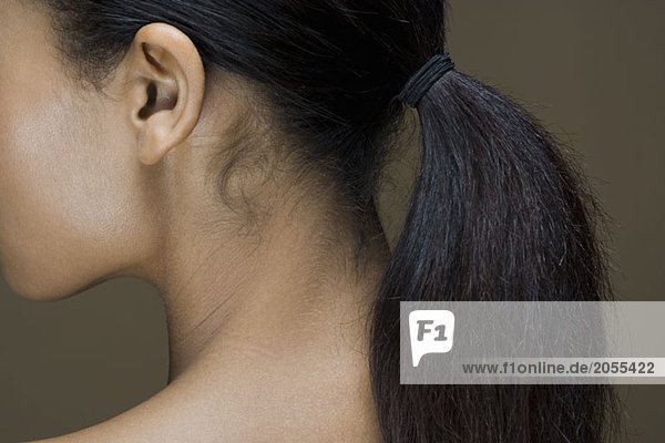 Rear view of a woman's ponytail