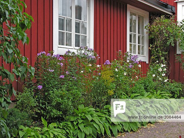 nahe Wohnhaus Pflanze Schweden