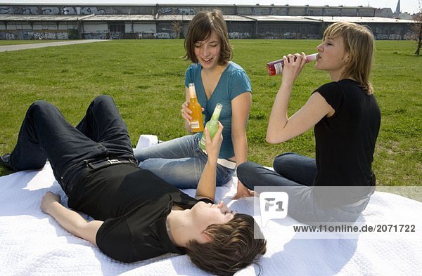Drei junge Erwachsene trinken im Park auf einer Decke sitzend aus Glasflaschen