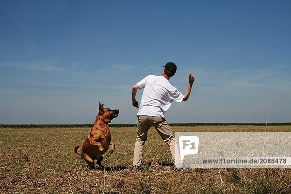 Rear view of man playing with dog in field