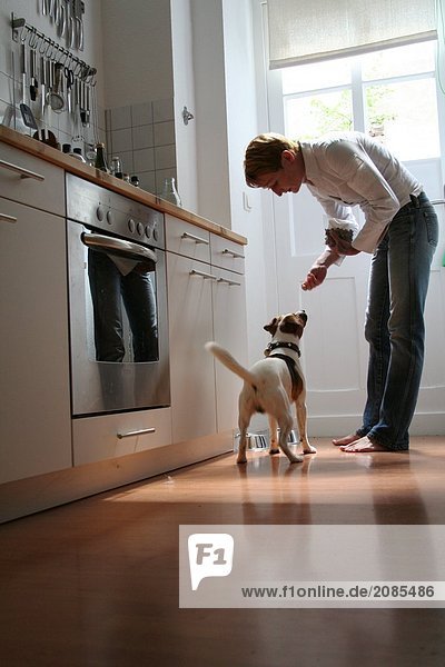 Side profile of man feeding dog in kitchen
