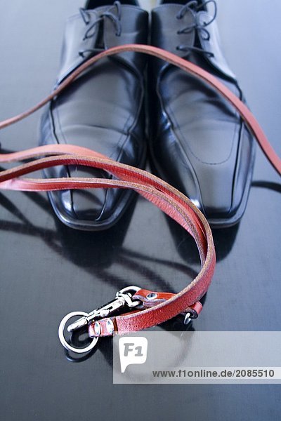 Close-up of dog's leash with shoes