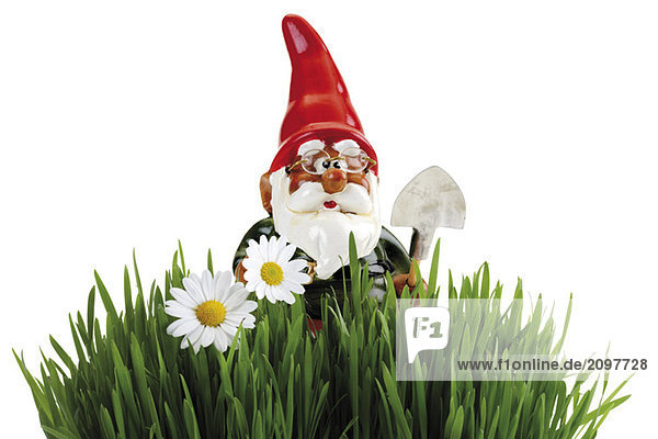 Garden gnome with spade  grass in foreground