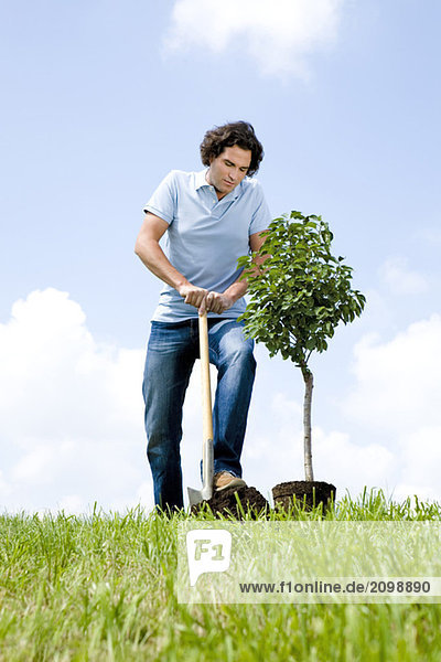 Mann pflanzt Baum  Nahaufnahme