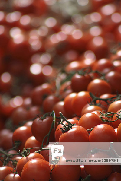 Tomaten am Marktstand  Nahaufnahme