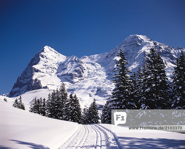 Reisen. Schweiz. Die Alpen. Der Eiger. Schnee-Szene.