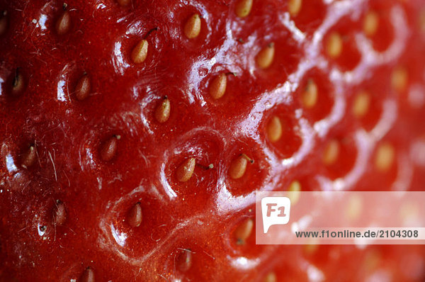 Nahaufnahme von Strawberry Fruit