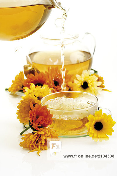 Ringelblumentee in Teetasse gegossen Nahaufnahme