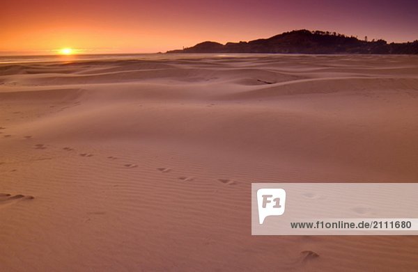 Sand dunes and footprints at sunset  Oregon Coast  Oregon  USA