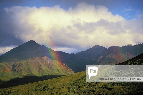 Rainbow appears after storm. Denali National Park  Alaska