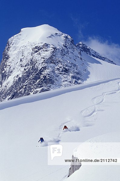 Two young men skiing untracked powder in figure 8's  Bugaboo Glacier Provincial Park  British Columbia  Canada