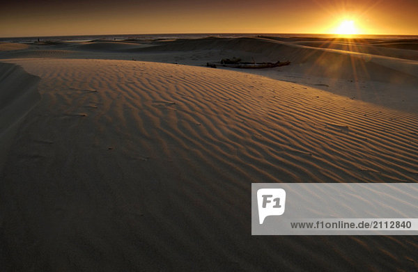Sand Dunes at sunset  Oregon Dunes National Recreation Area