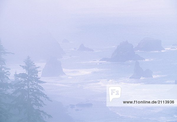 Sea stacks along the Pacific Coast  Samuel H. Boardman State Park  Oregon Coast  Oregon USA