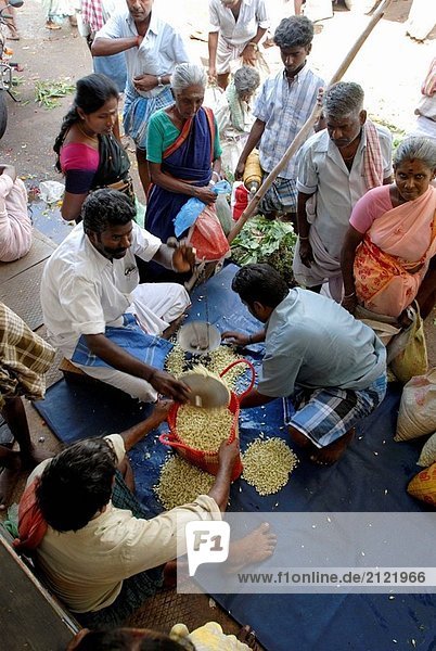 Madurai ist bekannt für seinen duftenden Jasminblüten. Jasmine bekannt als Malli oder Malligai in Tamil. Jasmin ist eine wichtige horticultural produzieren in Tamil Nadu. Die Knospen sind jeden Tag zu den großen Städten in Indien und Singapur transportiert
