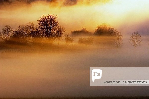 Sonnenaufgang im nebligen Morgen am Fluss Woernitz (Wörnitz). Einem großen Bildschirm der Nebel am Woernitz Fluss  Mittelfranken  Bayern/Deutschland