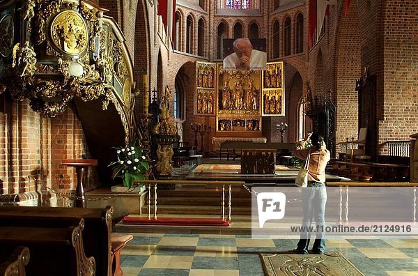 Kathedrale von Ostrów Tumski. Posen. Niederschlesien Polen.