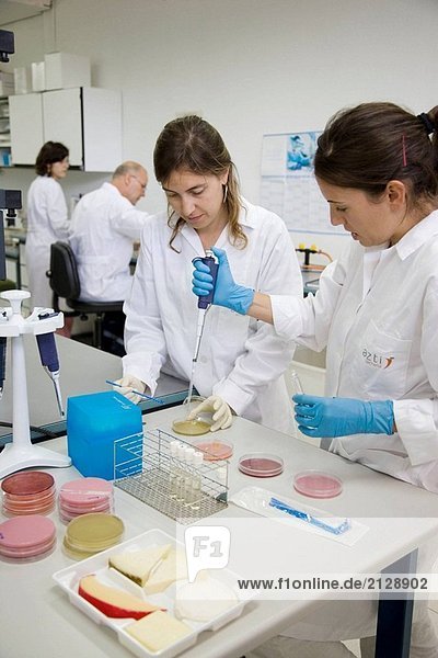 Mikrobiologielabor. Mikrobiologische Tests von Lebensmitteln  Käse. AZTI-Tecnalia. Zentrum für technologische spezialisiert auf Marine und Food Research. Sukarrieta  Bizkaia  Baskenland. Spanien.