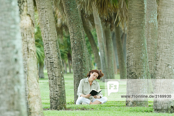 Frau sitzt im Palmenhain und liest das Buch.