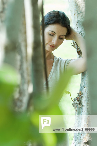 Frau lehnt sich an den Baumstamm  blickt nach unten  Blick durchs Laub
