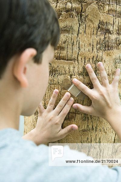Junge legt Klebebandage auf Baumstamm  geschnittene Rückansicht