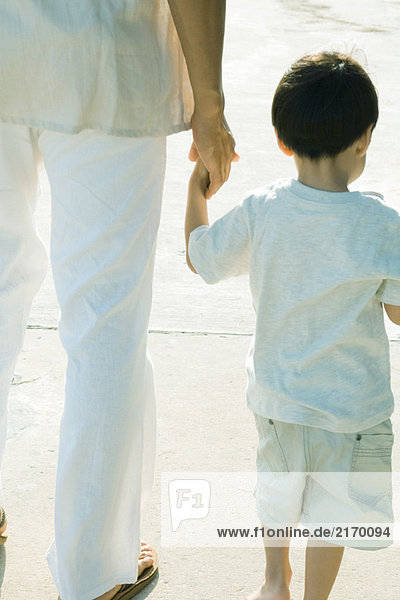 Vater und Sohn beim Gehen und Händchenhalten  geschnittene Rückansicht