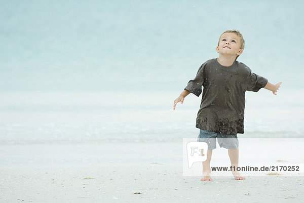 Kleiner Junge am Strand  plantschend  aufblickend