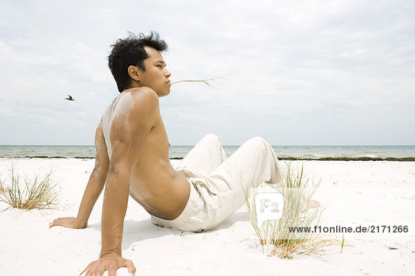Barechested Mann sitzt am Strand  hält Grashalm im Mund  volle Länge