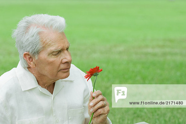 Älterer Mann hält Blume  Kopf und Schultern hoch  Porträt