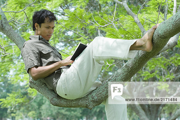 Mann im Baum sitzend  Lesebuch
