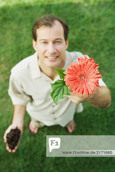 Mann hält Gerbera-Gänseblümchen hoch  lächelt in die Kamera  Blick in den hohen Winkel