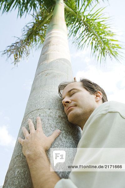 Mann umarmt Baum  Augen geschlossen  Blickwinkel niedrig