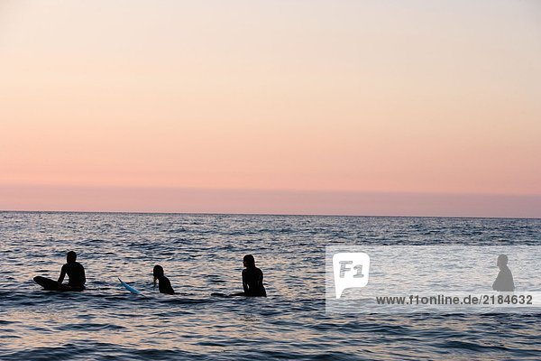 Vier Leute sitzen auf Surfbrettern im Wasser.