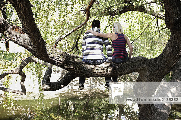 Ein Paar sitzt auf einem Baum am See.