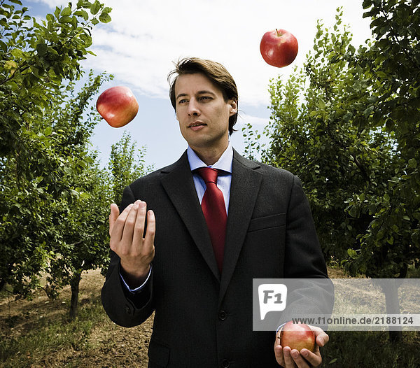 Mann Jongliert mit Äpfeln im Obstgarten.