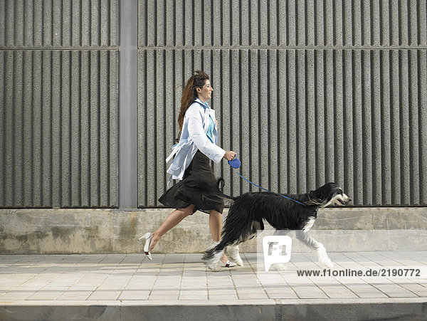 Eine Frau  die mit einem afghanischen Hund im Handumdrehen den Bürgersteig hinuntergeht  Alicante  Spanien