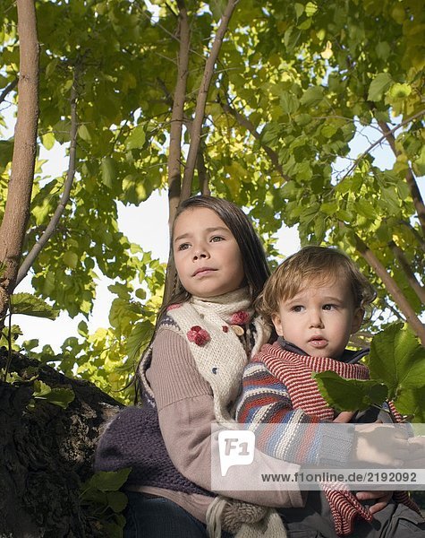 Ein Mädchen hält den Jungen in einem Baum.