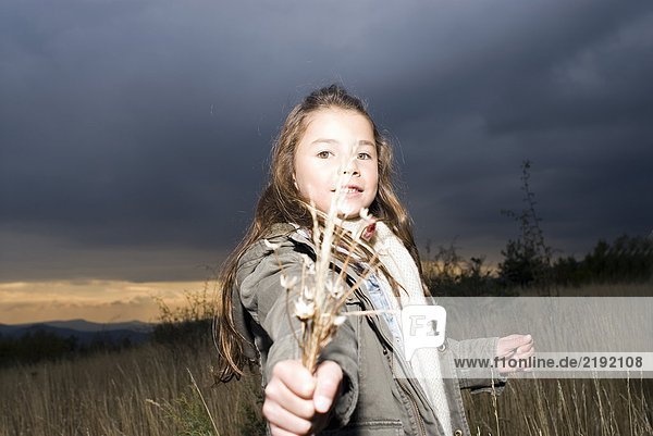 Porträt eines Mädchens auf einem Feld.