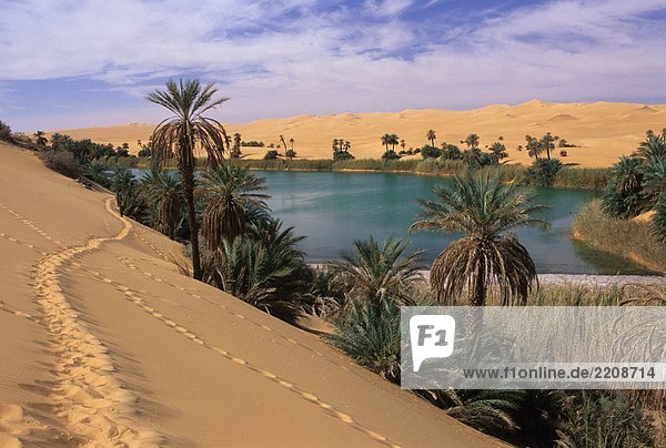 Lybien  Ramlat Ad-Duwadah Wüste