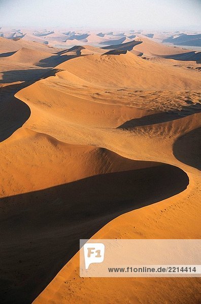 Sanddünen  Namib-Naukluft-Nationalpark  Namib Desert. Namibia