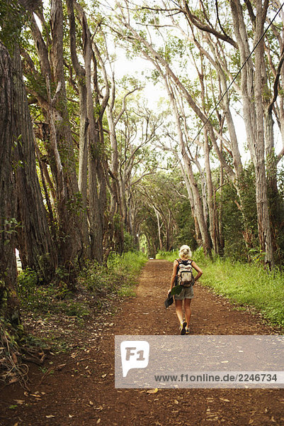 Frau Wandern im Wald