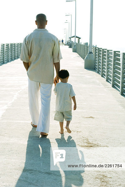 Father and son walking together  holding hands  rear view