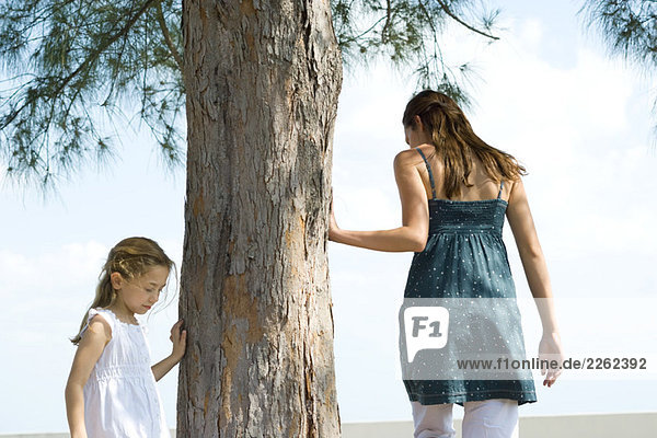 Zwei Schwestern  die um den Baum herumgehen  den Stamm berühren  Blick in den niedrigen Winkel